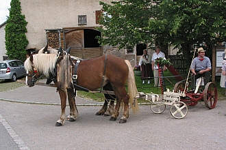 M�hmaschine mit Pferdegespann