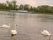 Ausflug des Trachtenvereins 