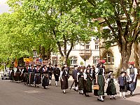 Der Trachtenverein beim Landesmusikfest