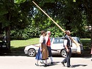 Der Umzug des Schwyzertags in Tingen