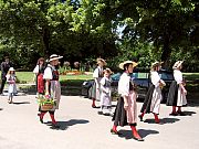 Der Umzug des Schwyzertags in Tingen