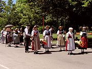 Der Umzug des Schwyzertags in Tingen