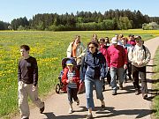 Maiwanderung nach Buchenberg 