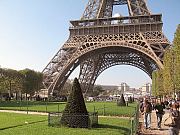 Notre Dame, Seine Bootsfahr, Eiffelturm