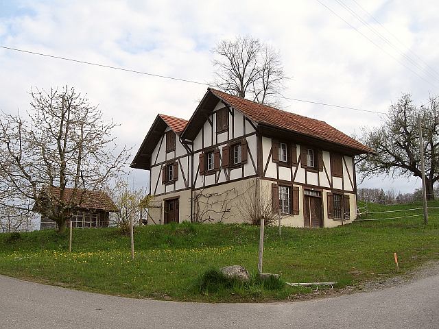 Bilder aus Hitzkirch und Umgebung 