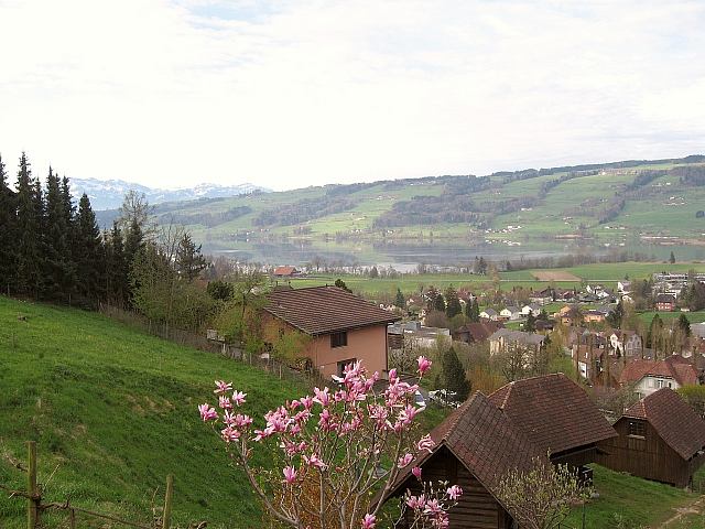 Bilder aus Hitzkirch und Umgebung 