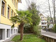 Bilder aus Hitzkirch und Umgebung 