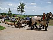 Hochzeitszug in Moenchweiler 