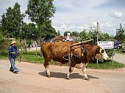 Hochzeitszug in Moenchweiler 