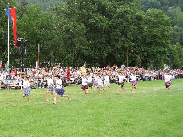 Die Schferlufe