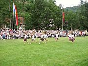 Die Schferlufe