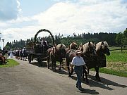 Bilder des historischen Umzugs in Grningen 