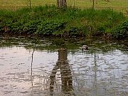 Maiwanderung nach Mnchweiler 