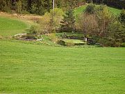 Maiwanderung nach Mnchweiler 