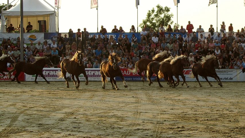 Reiterfest auf den Immenhöfen 