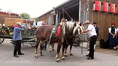 Reiterfest auf den Immenhfen 