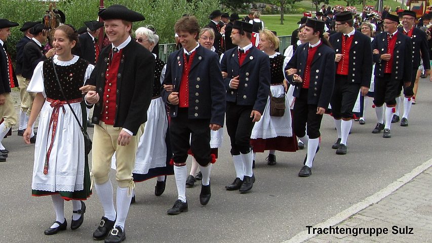 Der Festzuzg beim Gautrachtentreffen in Niedereschach 