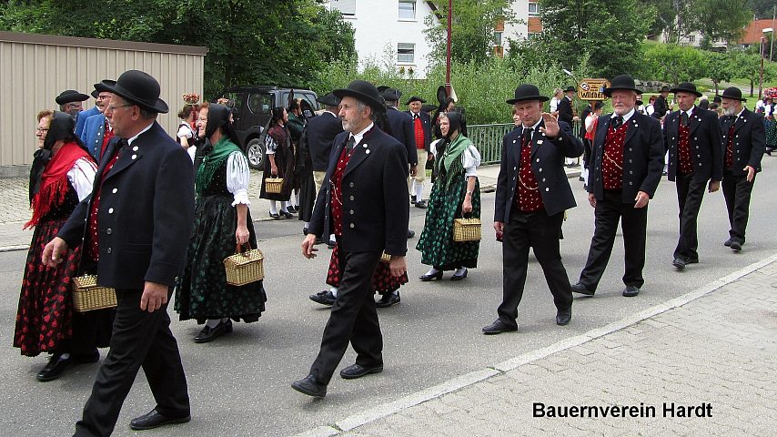Der Festzuzg beim Gautrachtentreffen in Niedereschach 