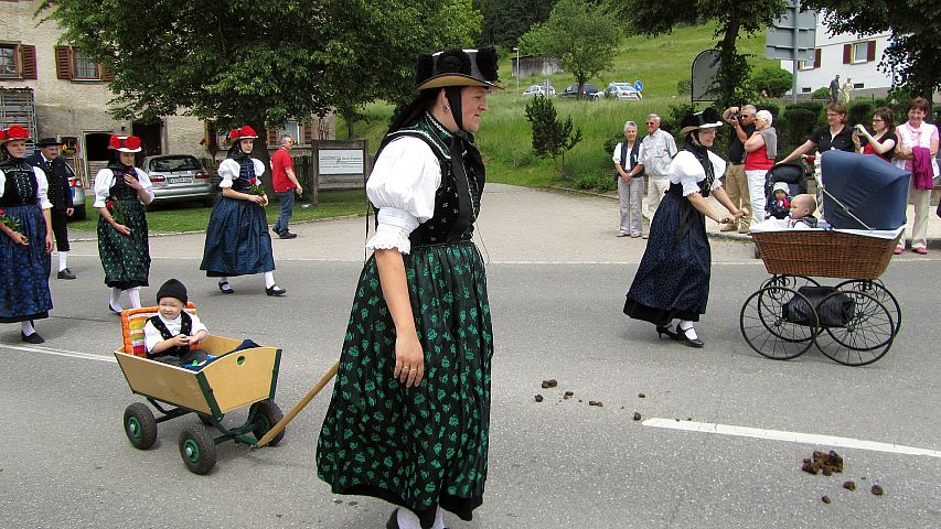 Der Trachtenverein beim Gautrachtentreffen in Niedereschach 